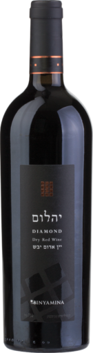 Binyamina