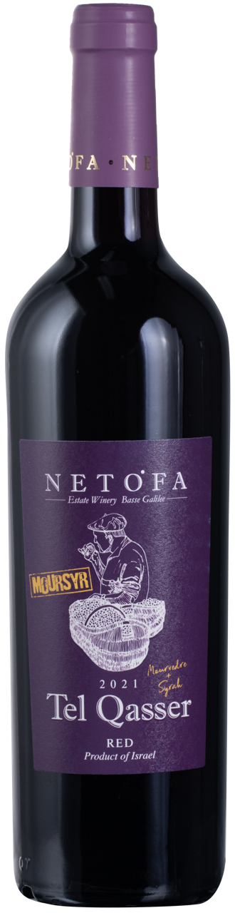 Netofa