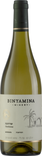 Binyamina