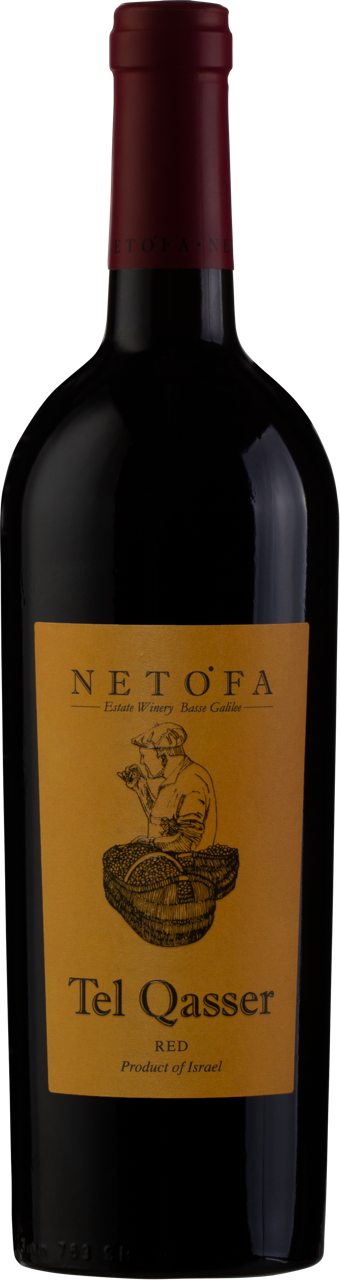 Netofa
