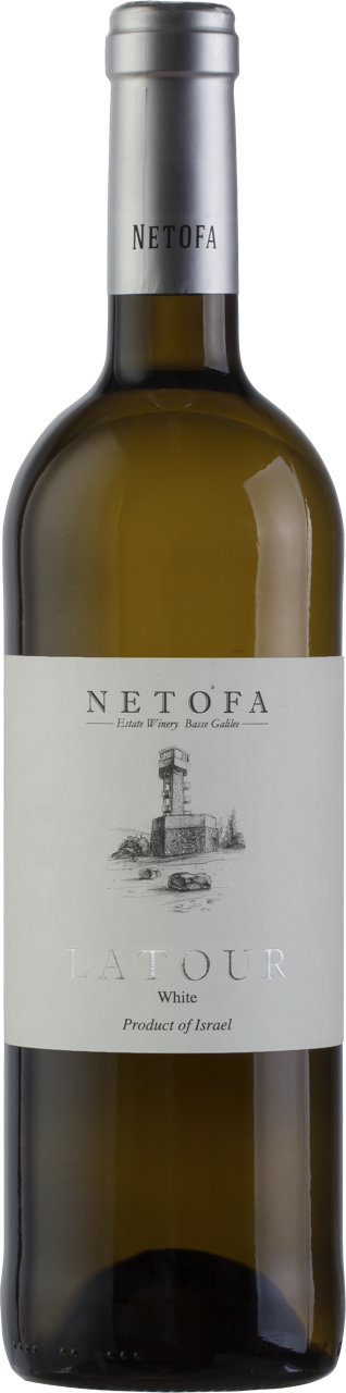 Netofa